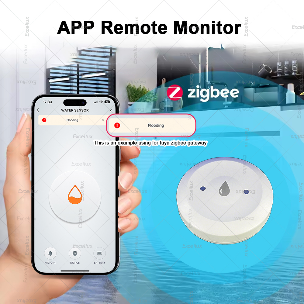 Zigbee Water Detector Leakage  - مراجعة Wifi Water Sensor وسعره