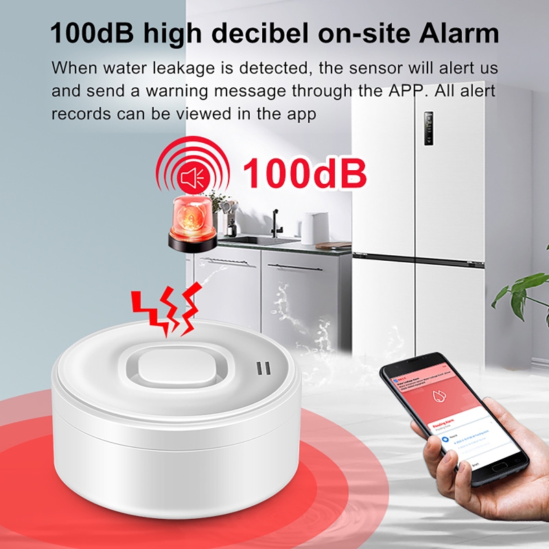 Smart WIFI Water Leak Detector - مراجعة Wifi Water Sensor وسعره