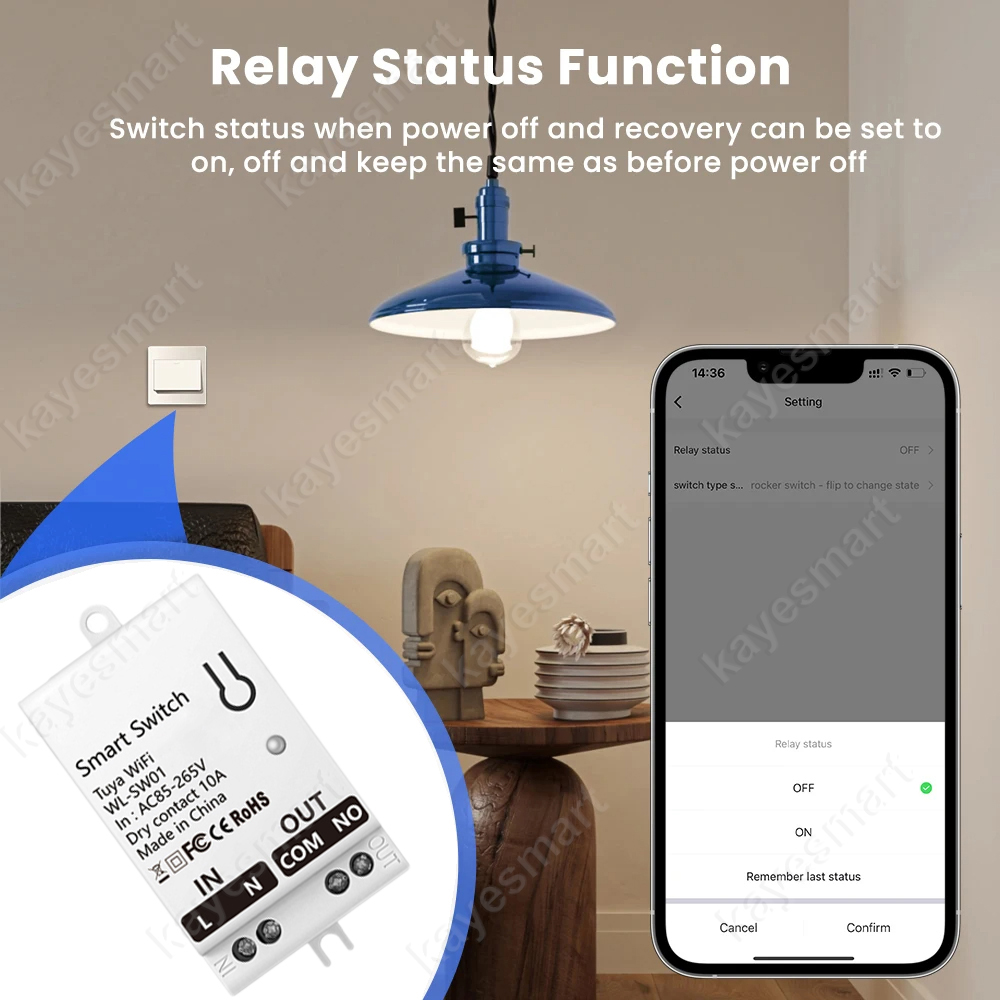 Tuya WiFi Smart Switch Module  - مراجعة Smart Home Tools وسعره